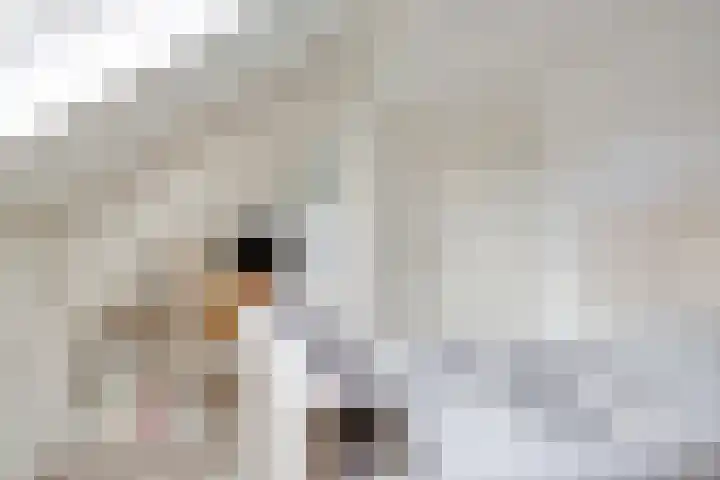 Erve Roerinck 62 Enter thumbnail 40