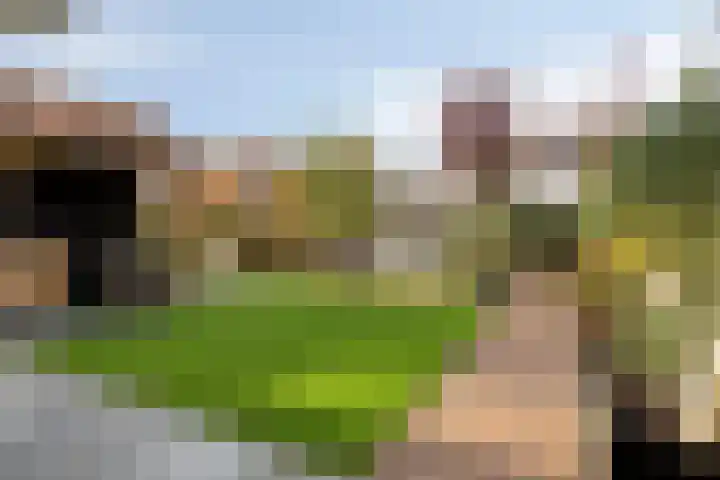 Erve Roerinck 62 Enter thumbnail 45