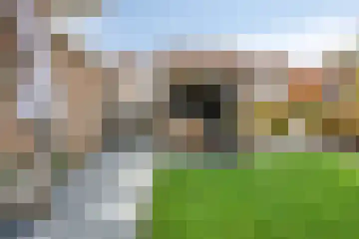 Erve Roerinck 62 Enter thumbnail 46