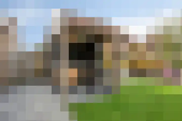 Erve Roerinck 62 Enter thumbnail 47