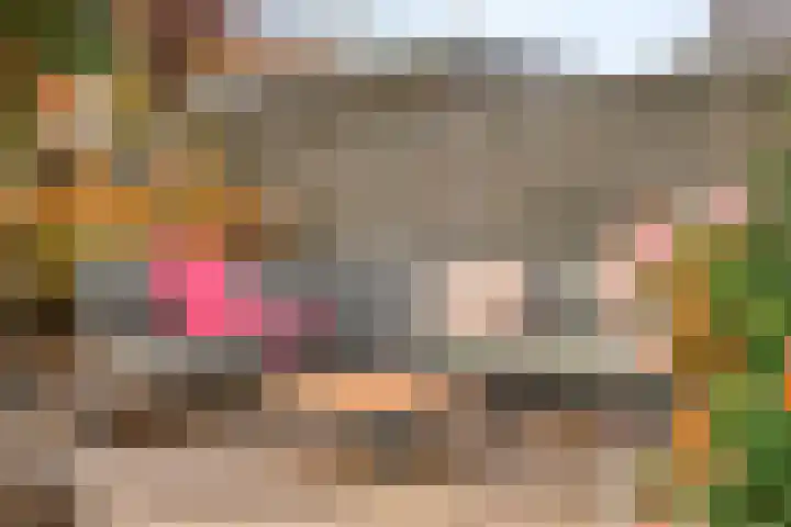 Erve Roerinck 62 Enter thumbnail 49