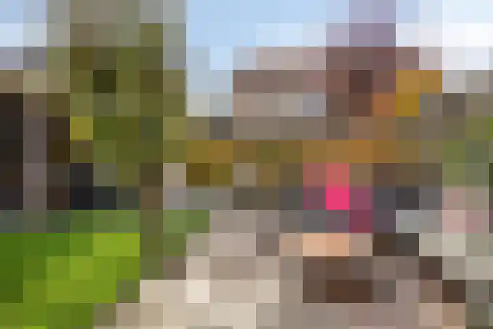 Erve Roerinck 62 Enter thumbnail 50