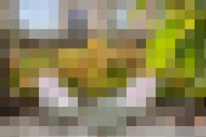 Erve Roerinck 62 Enter thumbnail 51