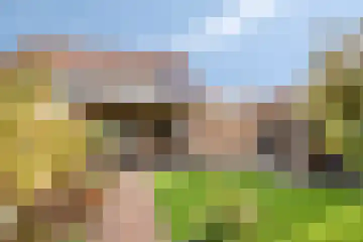 Erve Roerinck 62 Enter thumbnail 52