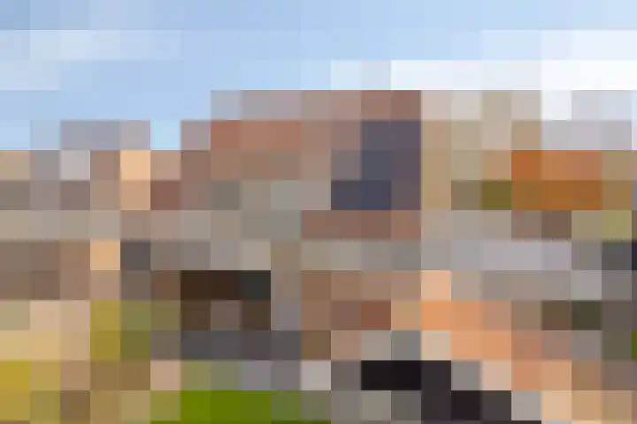Erve Roerinck 62 Enter thumbnail 54