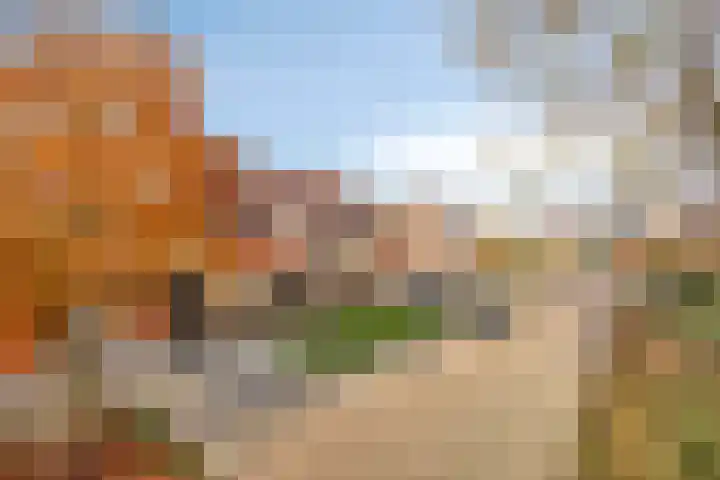 Erve Roerinck 62 Enter thumbnail 55