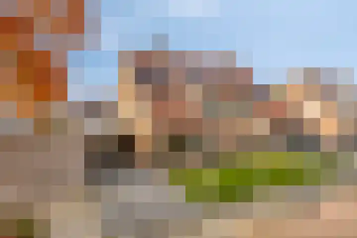 Erve Roerinck 62 Enter thumbnail 56