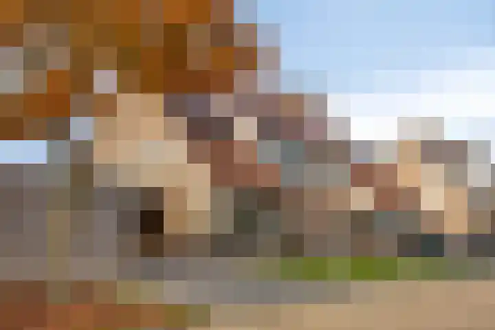 Erve Roerinck 62 Enter thumbnail 57