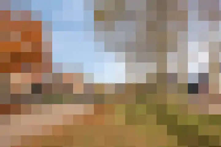 Erve Roerinck 62 Enter thumbnail 59