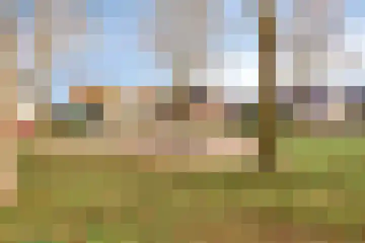 Erve Roerinck 62 Enter thumbnail 60