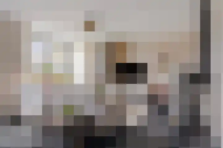 Erve Roerinck 62 Enter thumbnail 8