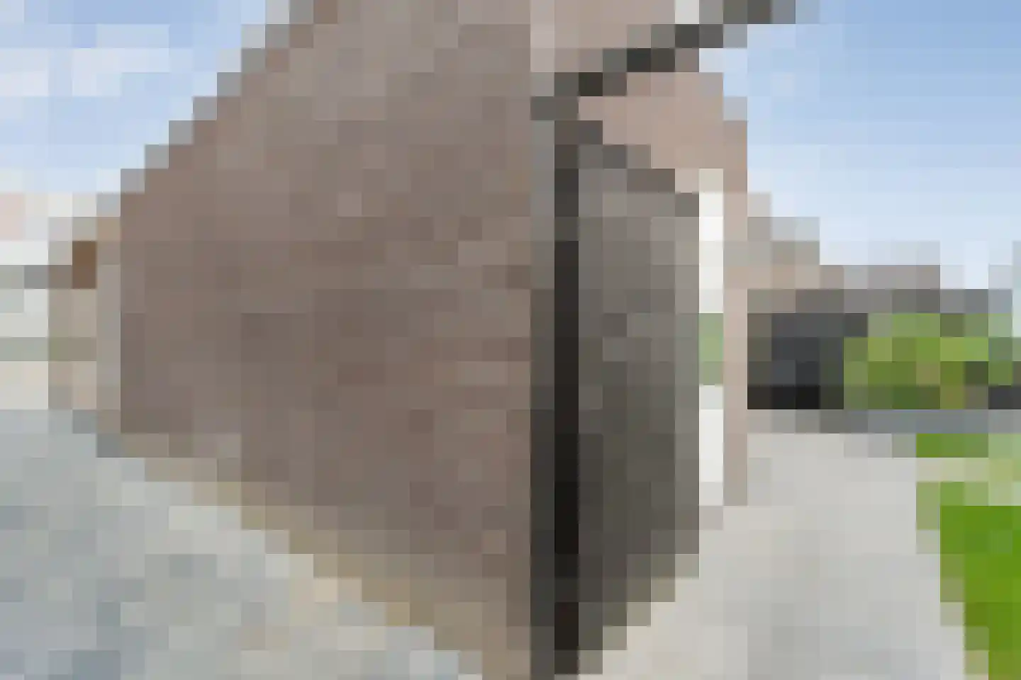 Erve Ruitminck 18 Hardenberg thumbnail 10