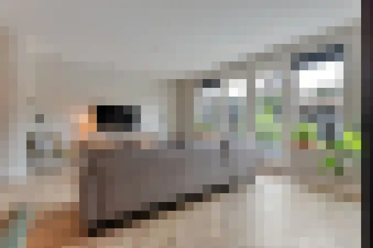 Erve Ruitminck 18 Hardenberg thumbnail 17