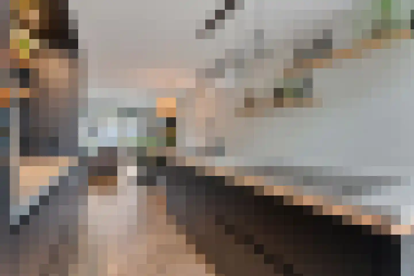 Erve Ruitminck 18 Hardenberg thumbnail 19