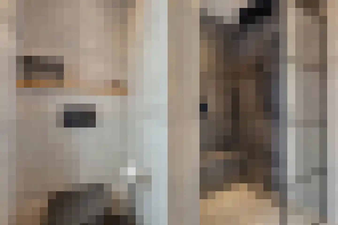 Erve Ruitminck 18 Hardenberg thumbnail 36