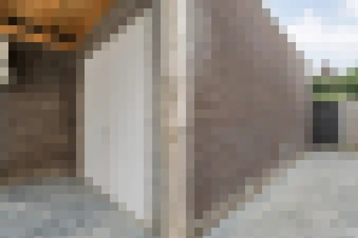 Erve Ruitminck 18 Hardenberg thumbnail 9