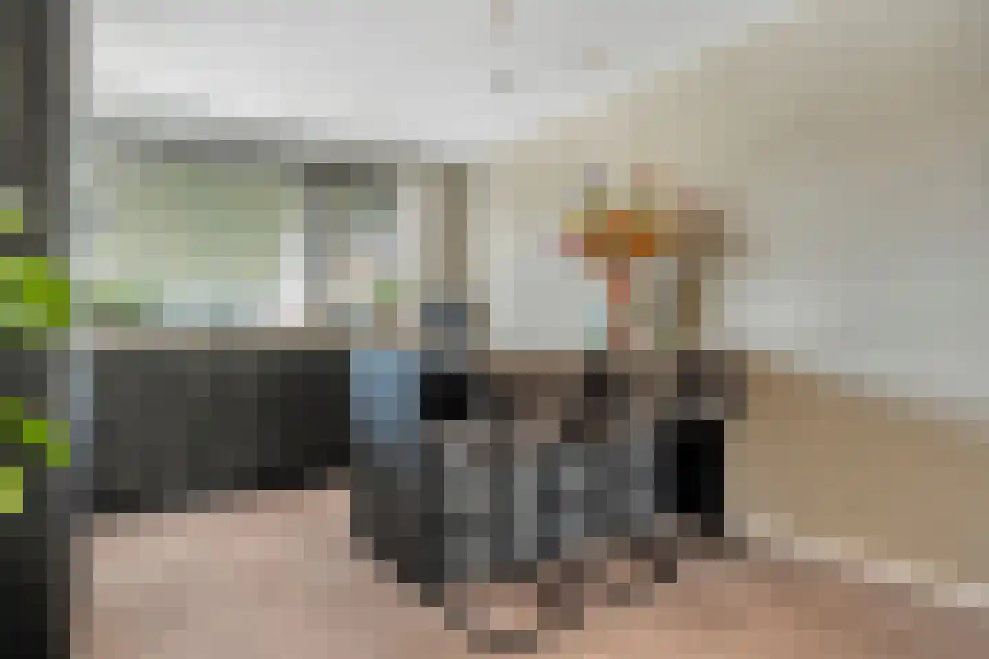 Erve Ruitminck 6 Hardenberg thumbnail 11