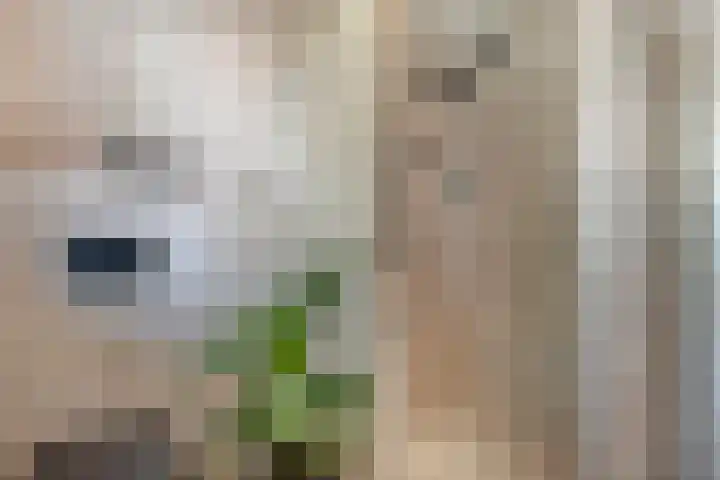 Erve Ruitminck 6 Hardenberg thumbnail 25