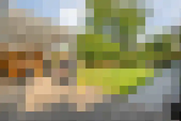 Erve Ruitminck 6 Hardenberg thumbnail 31