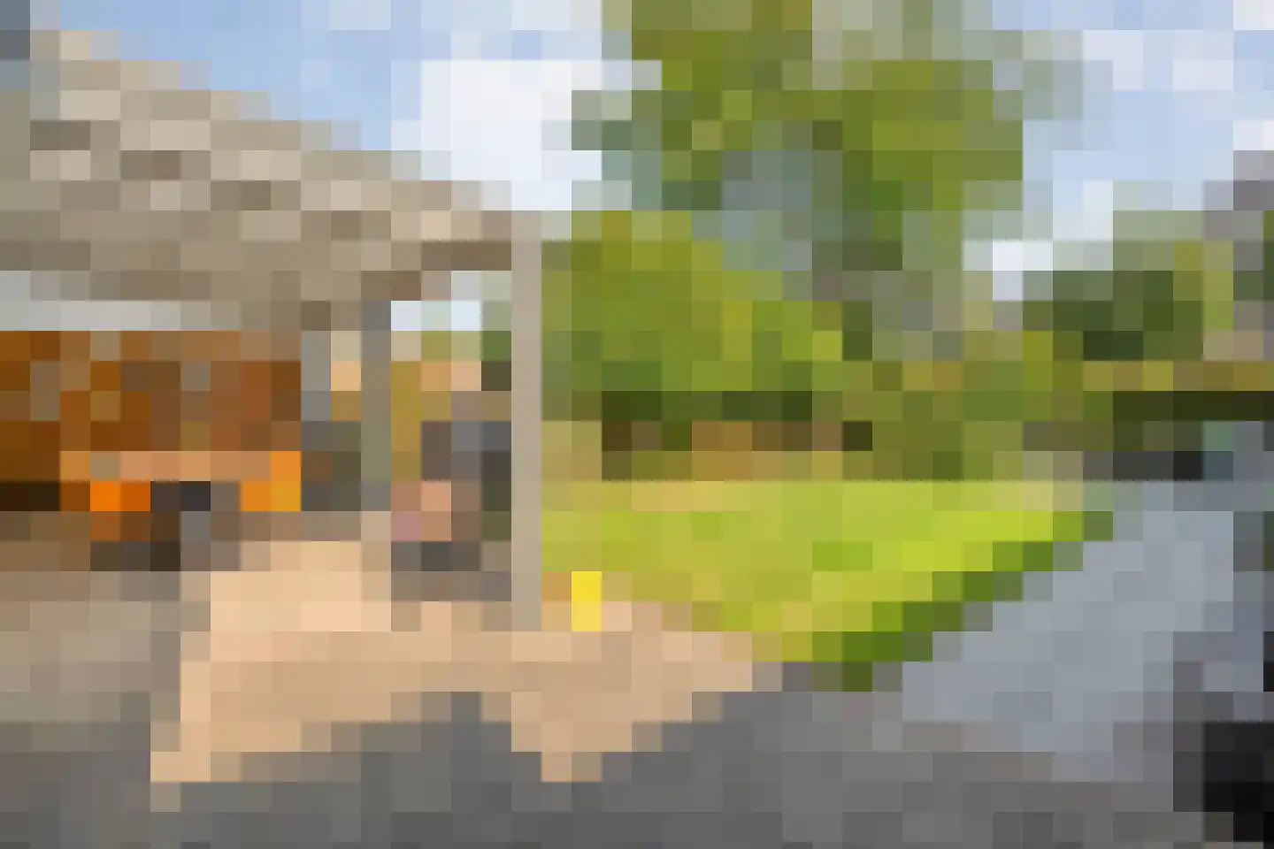 Erve Ruitminck 6 Hardenberg thumbnail 31