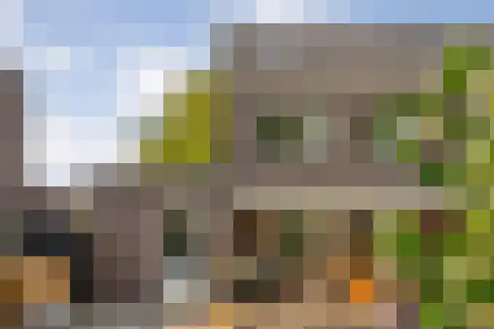 Erve Ruitminck 6 Hardenberg thumbnail 33