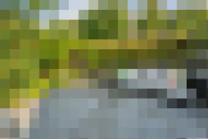 Erve Ruitminck 6 Hardenberg thumbnail 35