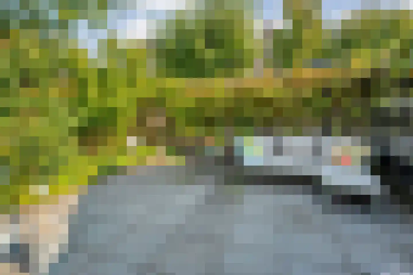 Erve Ruitminck 6 Hardenberg thumbnail 35