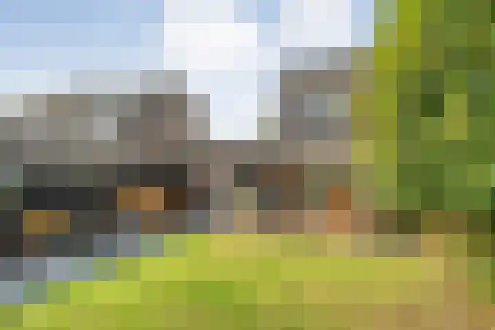 Erve Ruitminck 6 Hardenberg thumbnail 36