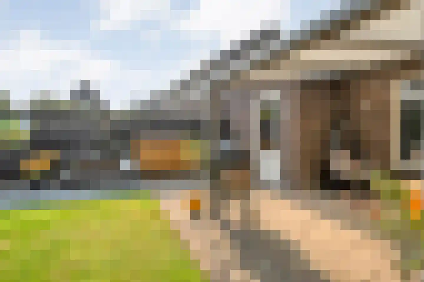 Erve Ruitminck 6 Hardenberg thumbnail 38