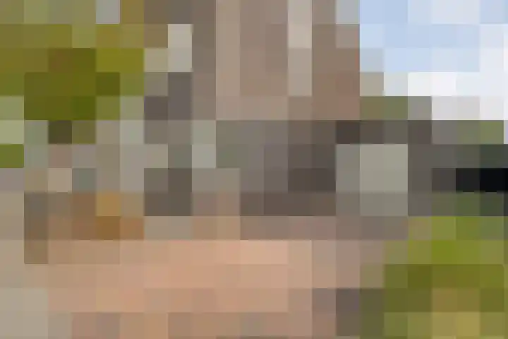 Erve Ruitminck 6 Hardenberg thumbnail 42