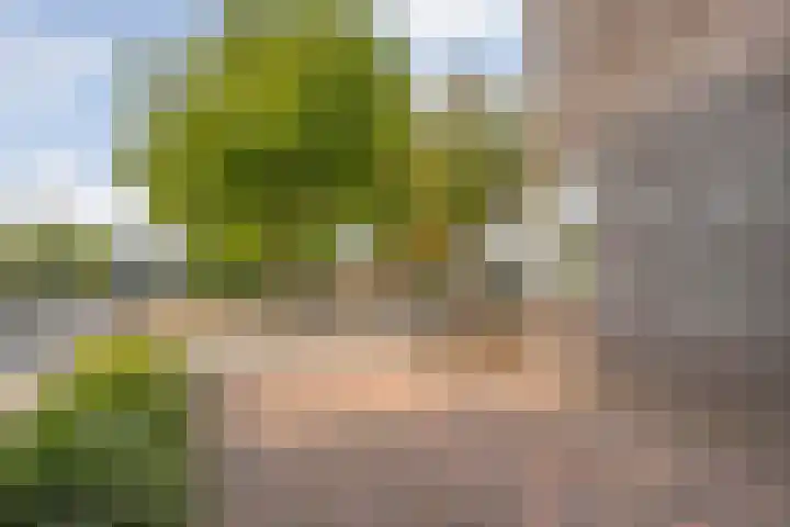 Erve Ruitminck 6 Hardenberg thumbnail 43