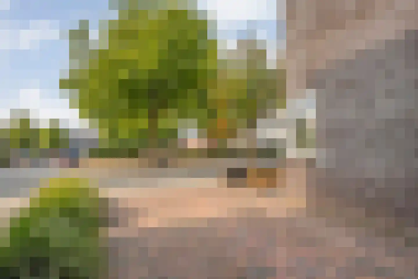 Erve Ruitminck 6 Hardenberg thumbnail 43