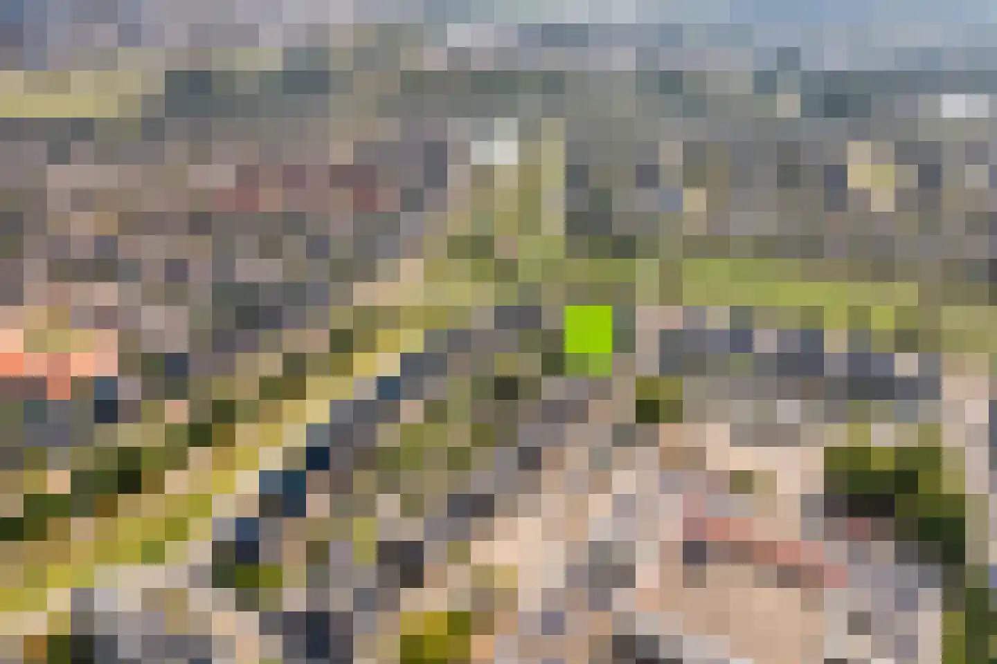Erve Ruitminck 6 Hardenberg thumbnail 46