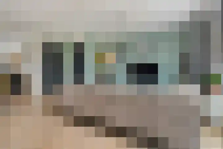 Erve Ruitminck 6 Hardenberg thumbnail 8