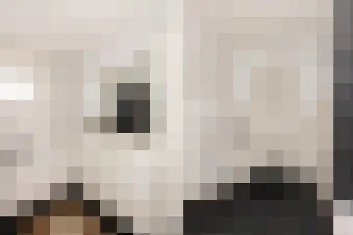 Erve Snieder 13 Oldenzaal thumbnail 14