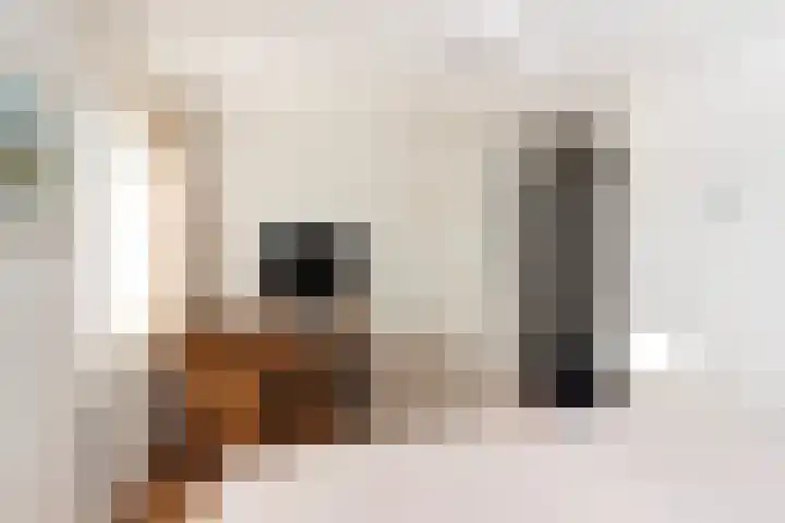 Erve Snieder 13 Oldenzaal thumbnail 15