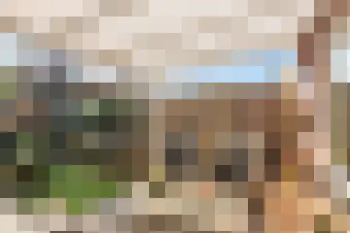 Erve Snieder 13 Oldenzaal thumbnail 23