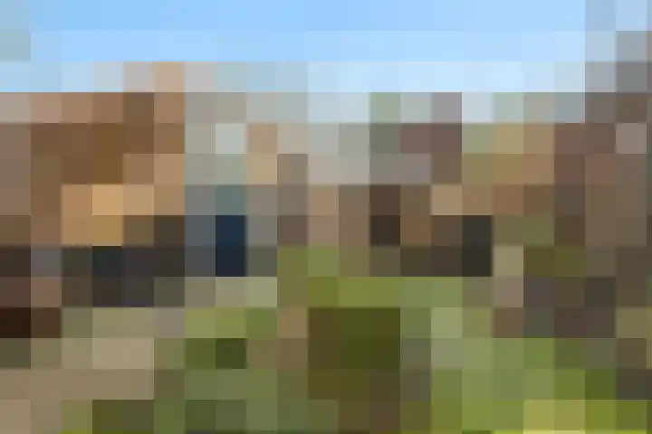 Erve Snieder 13 Oldenzaal thumbnail 24