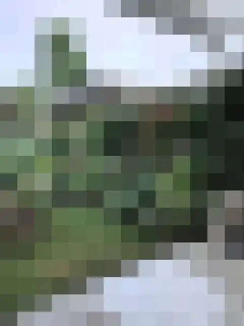 Erve Snieder 13 Oldenzaal thumbnail 25