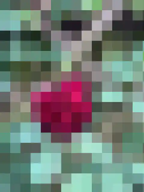 Erve Snieder 13 Oldenzaal thumbnail 26