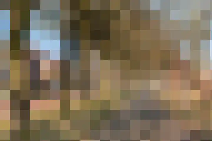 Erve Snieder 13 Oldenzaal thumbnail 29