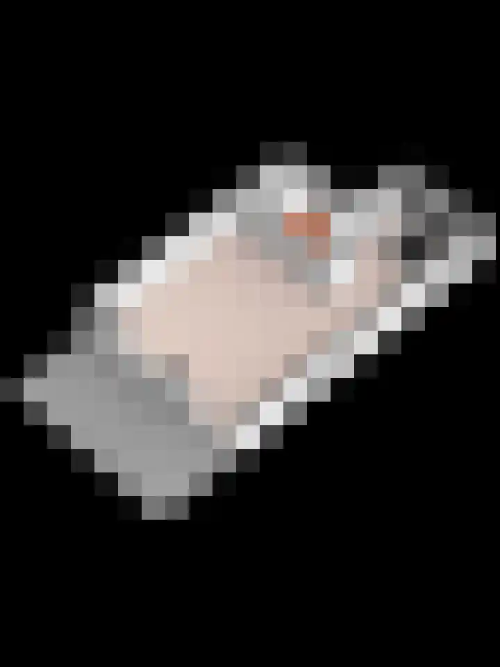 Erve Snieder 13 Oldenzaal thumbnail 35