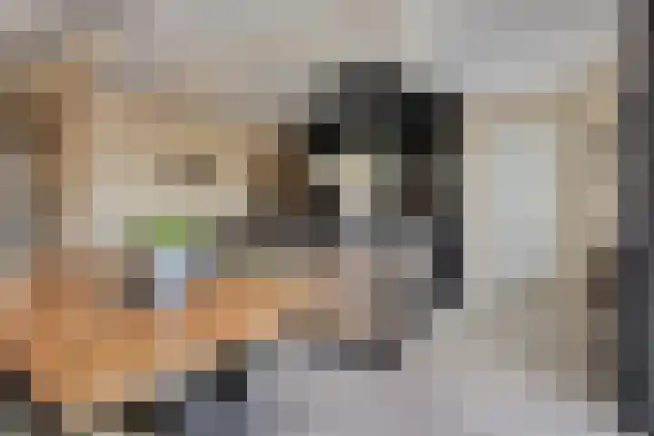 Erve Spikkert 23 Weerselo thumbnail 17
