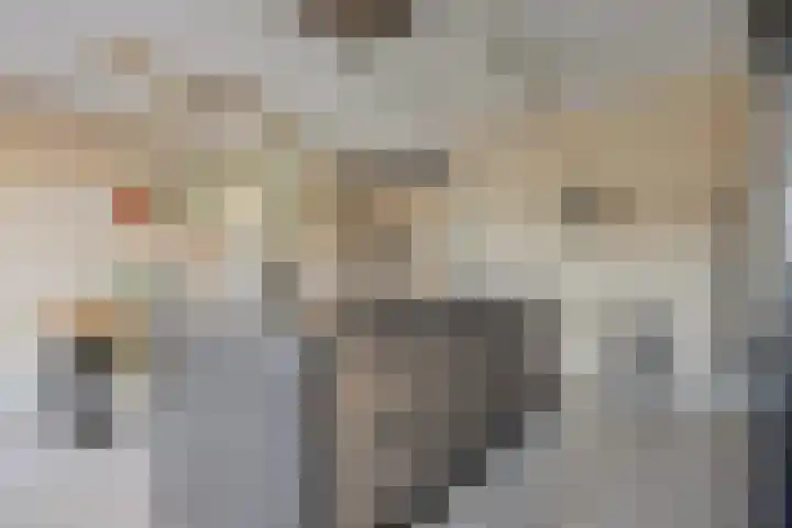 Erve Spikkert 23 Weerselo thumbnail 18