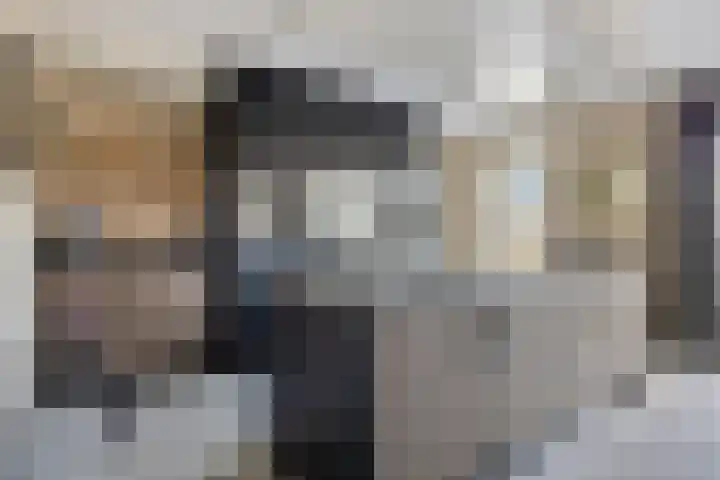 Erve Spikkert 23 Weerselo thumbnail 19
