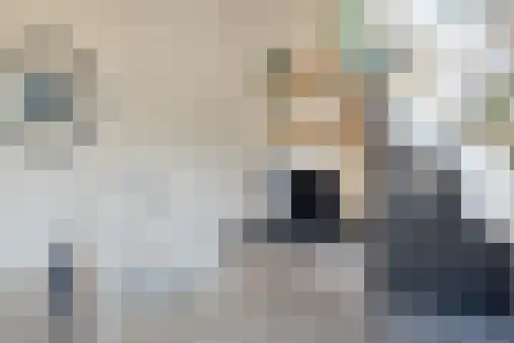 Erve Spikkert 23 Weerselo thumbnail 20