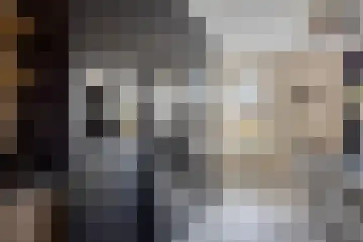 Erve Spikkert 23 Weerselo thumbnail 21