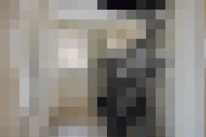 Erve Spikkert 23 Weerselo thumbnail 24