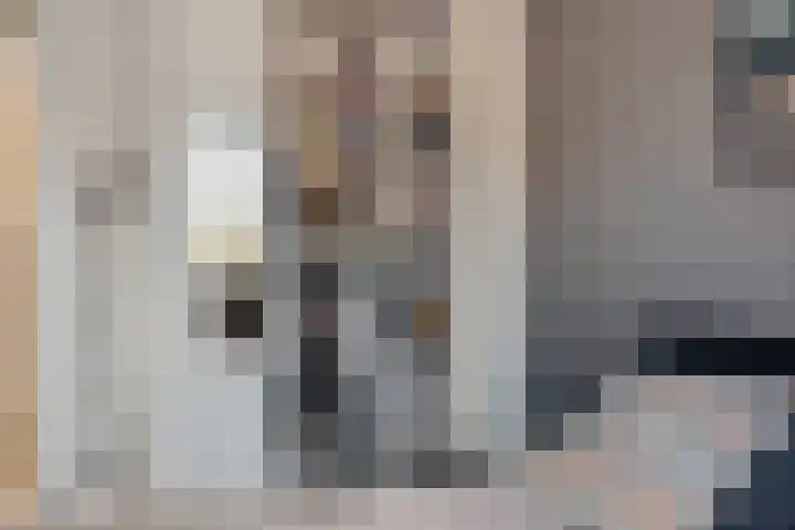 Erve Spikkert 23 Weerselo thumbnail 27