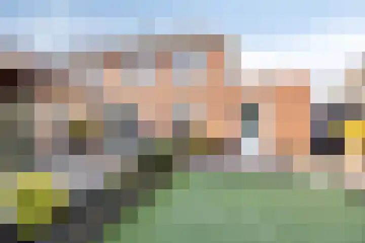 Erve Spikkert 23 Weerselo thumbnail 36